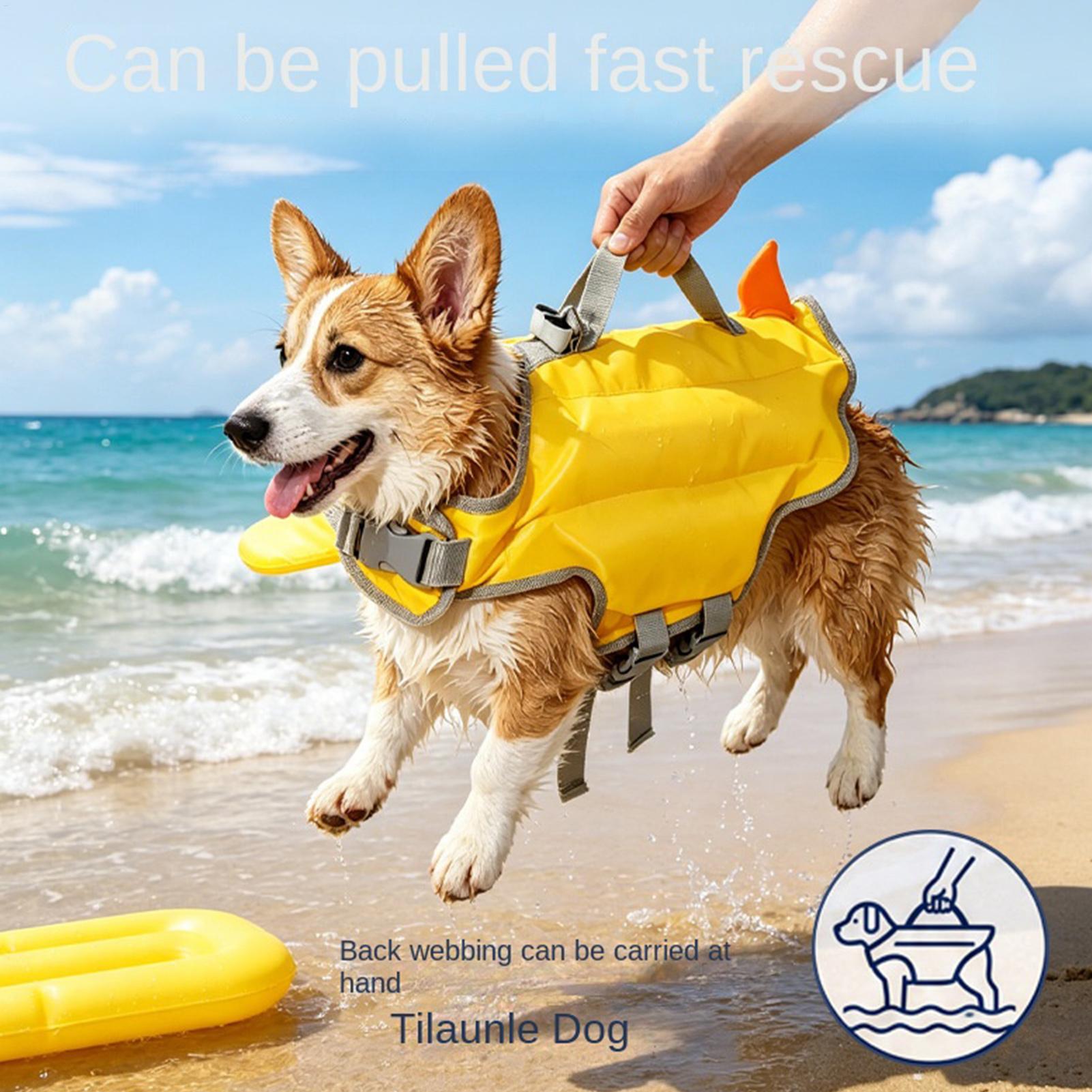 เสื้อชูชีพสำหรับสุนัข ความลอยต - Life Jacket Buoyancy บทวิจารณ์และราคา